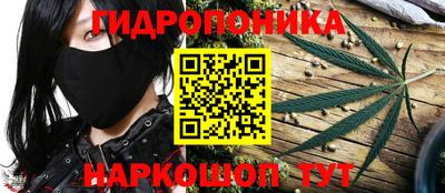 a pvp Лесосибирск
